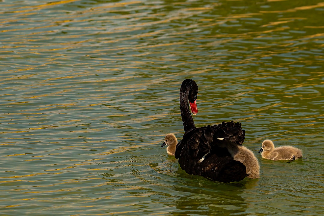 Kraamzorg mama: een warme start voor moeder en gezin