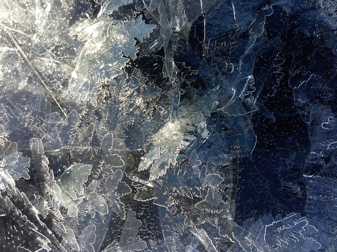 Gezond haar voor iedereen dankzij de luizenkliniek Amsterdam